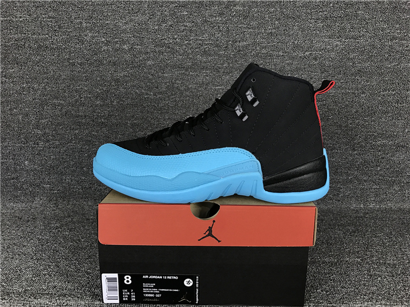 Air Jordan 12 Gamma Blue 130690 027